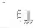 Fig. 27 - Nucleic acid products and methods of administration thereof