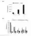 Fig. 34 - Nucleic acid products and methods of administration thereof