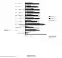 Fig. 23 - Nucleic acid comprising or coding for a histone stem-loop and a poly(A) sequence or a polyadenylation signal for increasing the expression of an encoded therapeutic protein