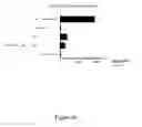 Fig. 24 - Nucleic acid comprising or coding for a histone stem-loop and a poly(A) sequence or a polyadenylation signal for increasing the expression of an encoded therapeutic protein