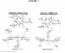 Fig. 08 - Charge-balanced imaging agents