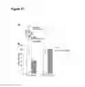 Fig. 28 - CEACAM1 MEDIATED PROTECTIVE IMMUNITY