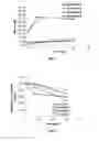 Fig. 02 - Adhesive composition