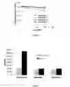 Fig. 03 - Adhesive composition
