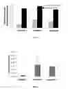 Fig. 04 - Adhesive composition