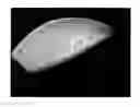 Fig. 01 - Sternum replacement implant