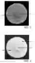 Fig. 03 - Human nipple areolar complex extracellular matrix scaffold and methods relating thereto