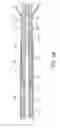 Fig. 07 - Catheter pump with positioning brace