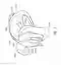 Fig. 04 - Patient interfaces