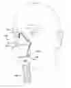 Fig. 01 - Strapless nasal interface device