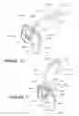 Fig. 26 - Breathing assistance apparatus