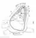Fig. 02 - Delivery devices and methods for leadless cardiac devices