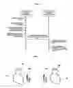 Fig. 04 - Electrical stimulation system