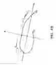 Fig. 13 - Body motion analysis system, portable device and body motion analysis method