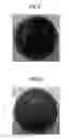 Fig. 09 - Colored golf ball