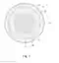 Fig. 02 - GOLF BALL
