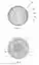 Fig. 02 - Multi-layer golf ball