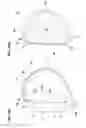 Fig. 11 - Golf club head