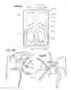 Fig. 08 - FOLDING CARD TOYS