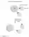 Fig. 06 - Columns for isolation, detection and use of biological cells