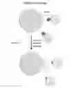 Fig. 07 - Columns for isolation, detection and use of biological cells