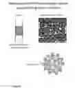 Fig. 09 - Columns for isolation, detection and use of biological cells
