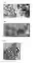 Fig. 02 - Methods of synthesizing nano-sized tungsten particles by sol-gel process and method of preparing light oil from extra-heavy oil using the synthesized nano-sized tungsten particles