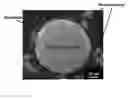 Fig. 04 - Hardfacing containing tungsten carbide particles with barrier coating and methods of making the same