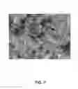 Fig. 08 - Abrasive articles including aggregates of silicon carbide in a vitrified bond