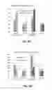 Fig. 09 - Abrasive articles including aggregates of silicon carbide in a vitrified bond