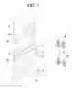 Fig. 08 - Robot
