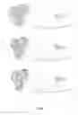 Fig. 02 - BEARD TRIMMER COMPRISING ONE OR MORE ROTATING HEADS HAVING A CLEANING ARRANGEMENT