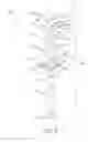 Fig. 07 - Safety razor