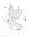 Fig. 05 - SYSTEMS AND METHODS FOR MANUFACTURING FIBER-REINFORCED POLYMERIC COMPONENTS