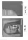 Fig. 07 - Photothermal modification of plasmonic structures
