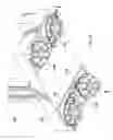 Fig. 05 - Positioning systems