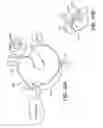 Fig. 09 - Control valve for an air maintenance tire