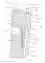 Fig. 01 - SHADING DEVICE FOR A MOTOR VEHICLE WINDOW