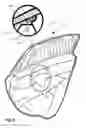 Fig. 08 - VEHICULAR FRONT WINDOW SUNSHADE APPARATUS