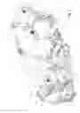 Fig. 06 - Vehicle