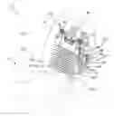 Fig. 01 - Pneumatic four way lumbar