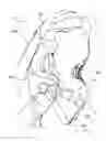 Fig. 08 - Control device for a bicycle