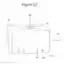 Fig. 22 - Device for moving and storing potted plants and other objects having a base