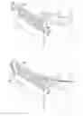 Fig. 01 - Sheet discharge device and image forming apparatus
