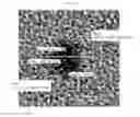 Fig. 09 - Metal oxide particles and method of producing the same