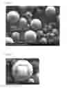 Fig. 07 - COATED PARTICLES