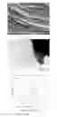 Fig. 02 - Preparation method of sulfonated two-dimensional titanium carbide nanosheet