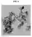 Fig. 12 - Manufacturing method of silicon carbide and silicon carbide manufactured using the same