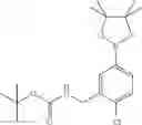 Fig. 37 - Nrf2 REGULATORS