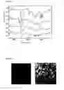 Fig. 05 - NOVEL COMPLEXES FOR THE SEPARATION OF CATIONS